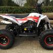 Квадроцикл детский ATV  Gekkon 70cc