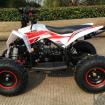 Квадроцикл детский ATV  Gekkon 70cc